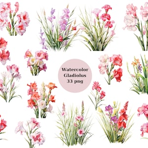 Watercolor Gladiolus Clipart, PNG digital files on transparent background, sublimation, commercial use
