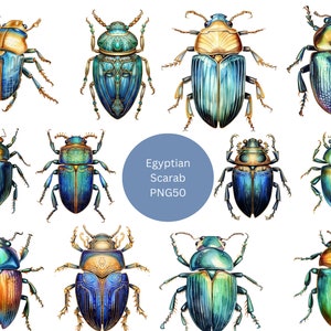 50 ägyptische Skarabäen Aquarell Clipart, Ägypten Clipart, PNG einzelne Bilder auf transparentem Hintergrund, Sublimation