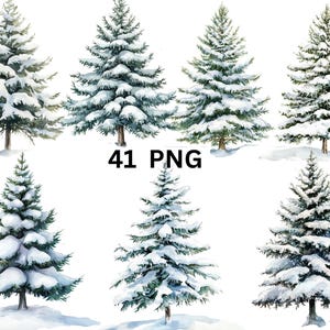 41 Pine Snow Trees Watercolor Clipart, file digitali PNG su sfondo trasparente, sublimazione, uso commerciale