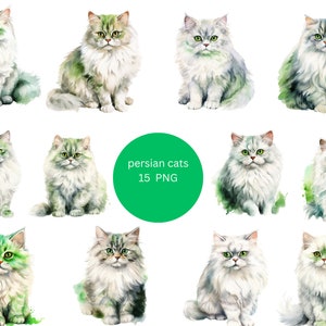 15 ペルシャ猫の水彩画クリップアート、ペット クリップアート、透明な背景の PNG 個別画像、昇華