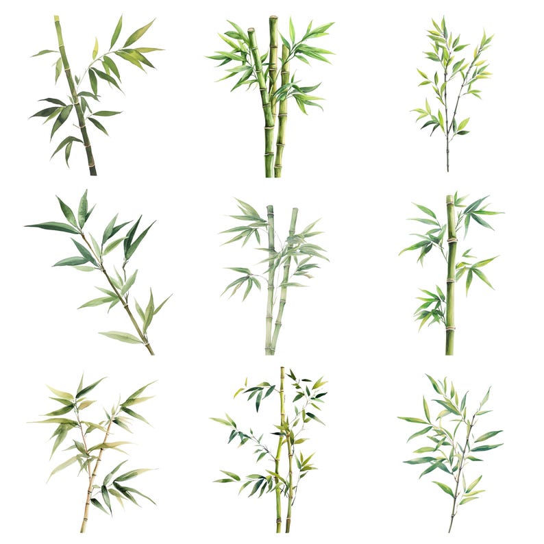 May include: Nine watercolour illustrations of bamboo plants with green leaves and stems. The bamboo plants are arranged in a grid pattern.