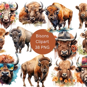 Aquarell Bisons Clipart, PNG digitale Dateien auf transparentem Hintergrund, Sublimation, kommerzielle Nutzung