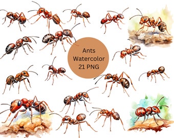 Watercolor Ants Clipart, PNG digital files on transparent background, sublimation, commercial use