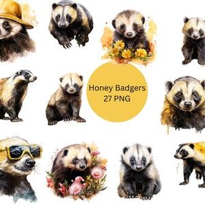 Watercolor Honey Badgers Clipart, PNG digital files on a transparent background, scrapbook, sublimation, commercial use