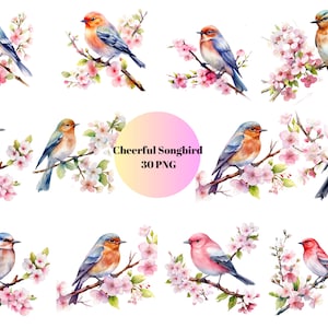 30 Cheerful Songbirds Watercolor Clipart, Bird Clipart, PNG individual images on transparent background, sublimation, commercial use