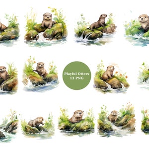 13 cliparts aquarelle de loutres ludiques, clipart animaux, images individuelles PNG sur fond transparent, sublimation, usage commercial