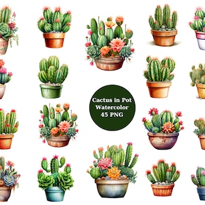 45 Cactus en Pot aquarelle Clipart, Clipart Pots, fichiers numériques PNG sur fond transparent, sublimation, usage commercial