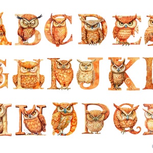 Aquarell Orange Angry Owl Alphabet, Eule Brief Sofort-Download für kommerzielle Nutzung, hohe Auflösung, 12x12