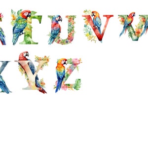 Parrot Alphabet, Letters Png, Alphabet Png, Instant Download for ...