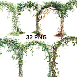 32 skogsbågar akvarell clipart, PNG digitala filer på transparent bakgrund, sublimering, kommersiellt bruk