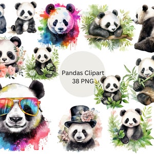 Acuarela Panda Bears Clipart, archivos digitales PNG sobre un fondo transparente, álbum de recortes, invitaciones