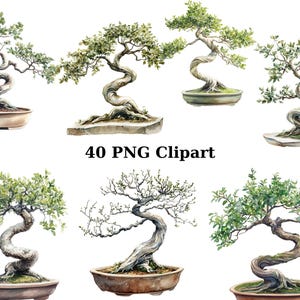 40 beschnittene Bonsai Bäume Aquarell Clipart, Natur Clipart, PNG Einzelbilder auf transparentem Hintergrund, Sublimation