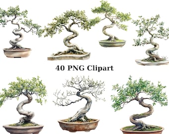 40 Pruned Bonsai Trees Watercolor Clipart, Nature Clipart, PNG individual images on transparent background, sublimation
