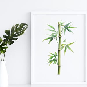 May include: A watercolour painting of a single stalk of bamboo with green leaves. The bamboo is depicted in a white frame.