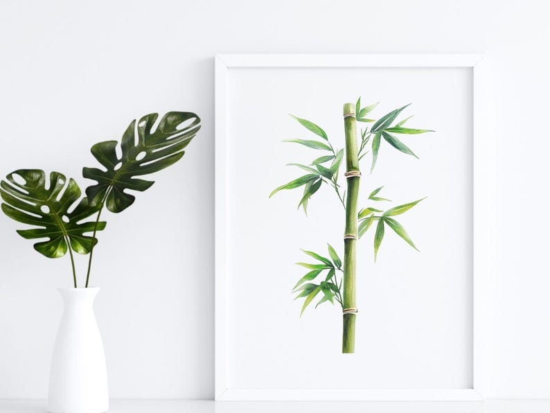 May include: A watercolour painting of a single stalk of bamboo with green leaves. The bamboo is depicted in a white frame.