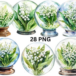 28 Muguet en clipart aquarelle boule de cristal, fichiers numériques PNG sur fond transparent, sublimation, usage commercial