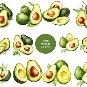 Aquarelle avocat clipart, fichiers numériques PNG sur fond transparent, sublimation, usage commercial