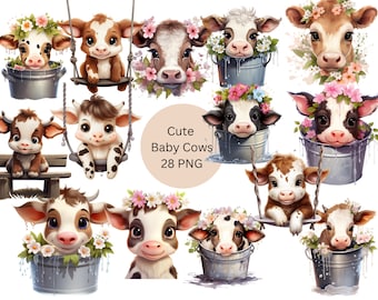 Cute Cows Clipart, PNG individual images on transparent background, sublimation, commercial use