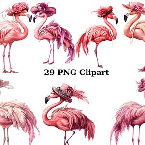 29 mode flamingo's aquarel clipart, dieren clipart, individuele png-afbeeldingen op transparante achtergrond, sublimatie