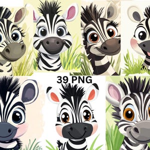 Cute Zebra Clipart, Baby Zebra PNG, Cartoon Safari Animal Illustration, Transparent Background, Commercial Use, Instant Download