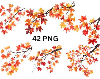 Autumn Maple Tree Branches Clipart | 42 PNG Fall Leaves, PNG individual images on transparent background, sublimation