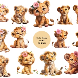 Clipart de leão bebê fofo, clipart de animais, imagens individuais PNG em fundo transparente, sublimação, uso comercial