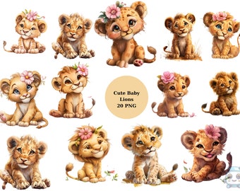 Clipart de leão bebê fofo, clipart de animais, imagens individuais PNG em fundo transparente, sublimação, uso comercial