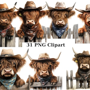 31 cliparts aquarelle de vaches des Highlands cow-boy, clipart animaux, images individuelles PNG sur fond transparent, sublimation