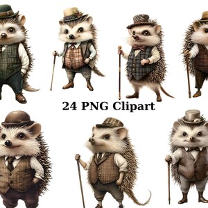 24 Gentleman Egels aquarel clipart, dieren clipart, individuele png-afbeeldingen op transparante achtergrond, sublimatie