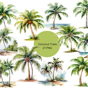 Acuarela Cocoteros Clipart, archivos digitales PNG sobre fondo transparente, sublimación, uso comercial