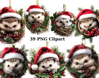 39 ricci in ornamenti natalizi Clipart acquerello, Clipart natalizio, immagini PNG singole su sfondo trasparente