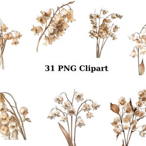 31 cliparts aquarelle de muguet séché, clipart floral, images individuelles PNG sur fond transparent, sublimation