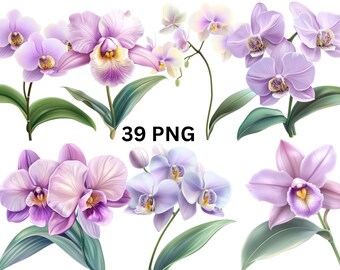 Orchid Clipart Set, Purple and Pink Orchid Flowers, Tropical Botanical PNG, Digital Download, Transparent Background, Commercial Use