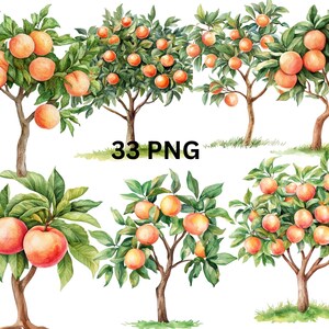 33 Peach Trees Watercolor Clipart, PNG digital files on transparent background, sublimation, commercial use