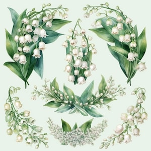 Lily of the Valley clipart, bouquets d'orchidées fleur aquarelle, cadre de mariage, couronnes florales, 29 images PNG, haute qualité, utilisation commerciale