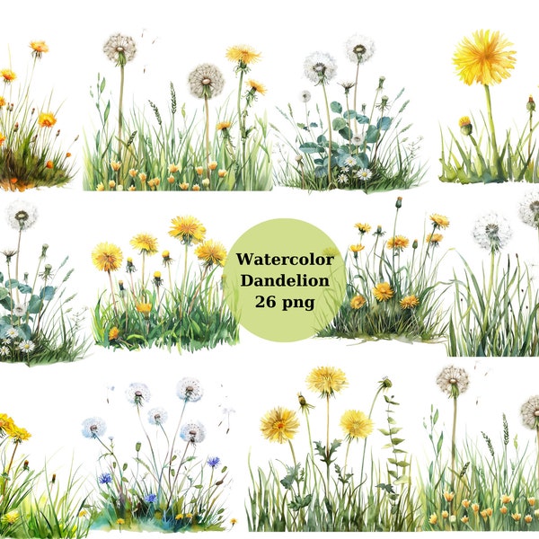 Clipart pissenlit aquarelle, fichiers numériques PNG sur fond transparent, album, sublimation, usage commercial