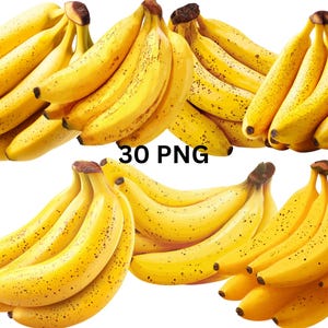 Clipart Banana Bundle, 30 Realistic Banana PNG, Tropical Fruit Digital Download, Transparent Background, Commercial Use, Instant Download