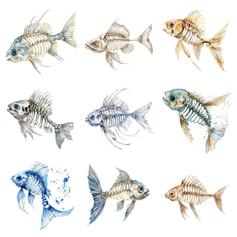 Watercolor Fish Skeleton Clipart - Nautical Sea Life Illustration ...
