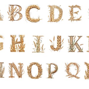 Alfabeto de trigo acuarela, letras, imágenes individuales PNG, uso comercial, fondo transparente, 12x12, descarga instantánea