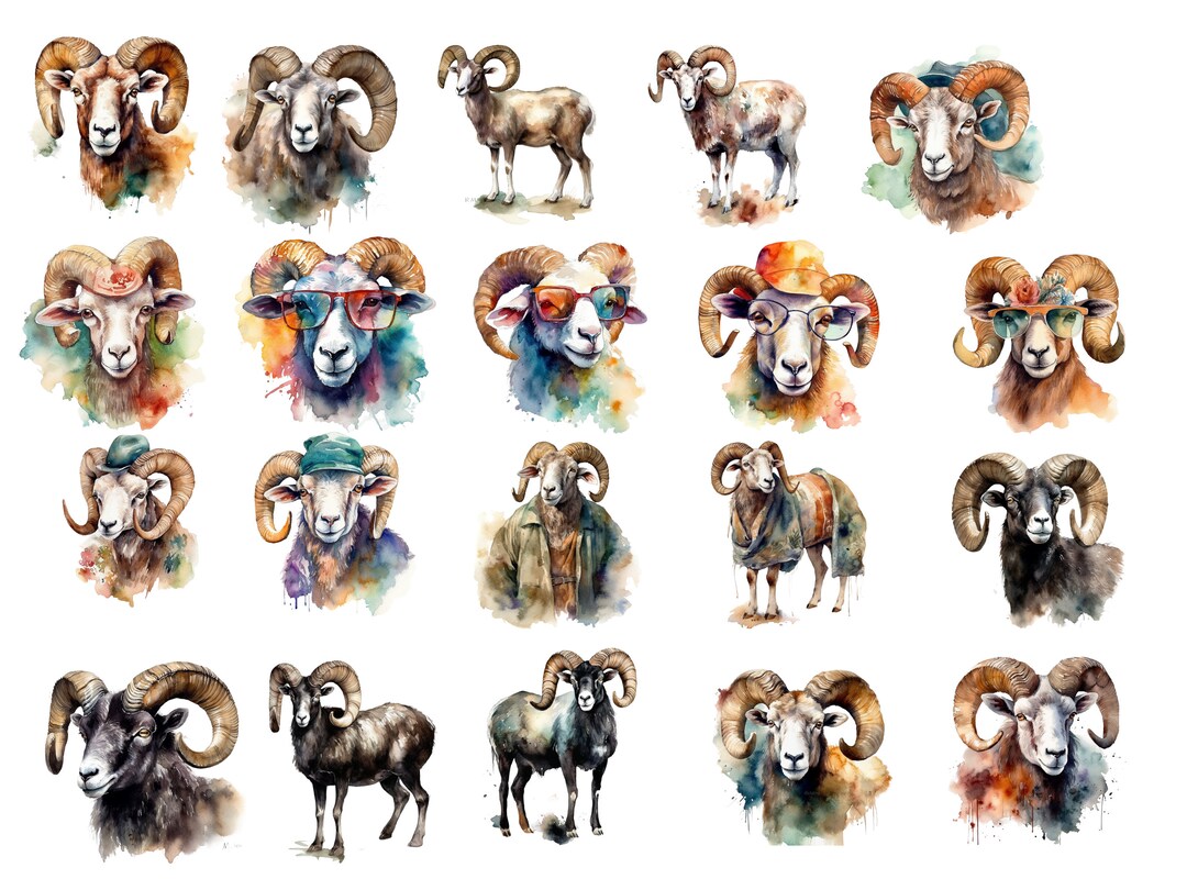 Watercolor Rams Clipart, PNG Digital Images, Farm Animals, Transparent ...