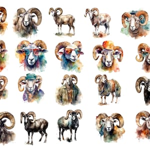 Könnte beinhalten: Eine Sammlung von 20 Aquarell-Illustrationen von Widdern mit verschiedenen Ausdrücken und Accessoires. Einige Widder tragen Hüte, Sonnenbrillen und Schals. Die Illustrationen sind vor einem weißen Hintergrund mit bunten Aquarellspritzern angeordnet.