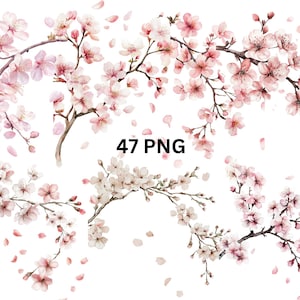 Acuarela Flor de Cerezo PNG Clipart - 47 Fondo Transparente Ramas de Sakura, Arte Digital Floral, Descarga Instantánea