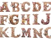 Butterfly Alphabet Cliparts, 26 beautiful PNG images, transparent background, 12x12, commercial use