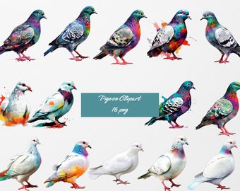 Watercolor Pigeons Clip Art, digital PNG files available for instant download, scrapbook, invitations, commercial use