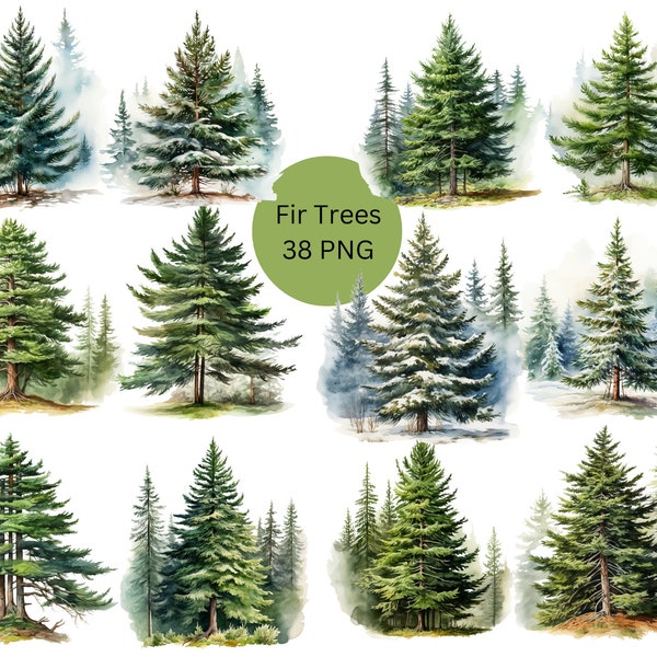 Fir Trees Watercolor Clipart, Nature Clipart, PNG digital files on a transparent background, scrapbook, invitations, commercial use