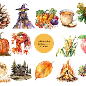 37 Watercolor Fall Bundle Clipart, PNG individual images on transparent background, sublimation, commercial use