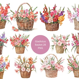 28 Gladiolus Baskets Watercolor Clipart, Floral Clipart, PNG individual images on transparent background, sublimation