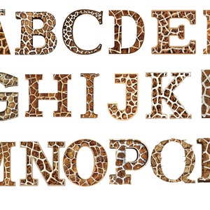 Giraffe print alfabet clipart, giraffe letters, transparante achtergrond, hoge kwaliteit, clipart, 12 x 12, commercieel gebruik