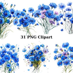 31 Kornblumen Bouquets Aquarell Clipart, Floral Clipart, PNG einzelne Bilder auf transparentem Hintergrund, Sublimation