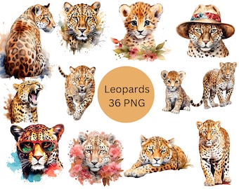Watercolor Leopards Clipart, PNG digital files on transparent background, sublimation, commercial use